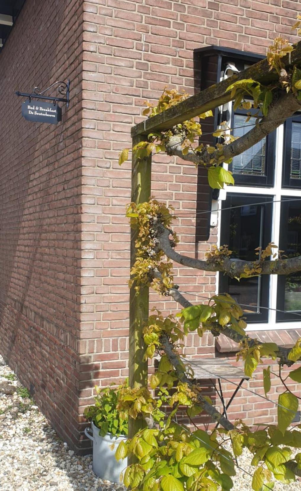 De Seuterhoeve 'S-Gravendeel Eksteriør bilde